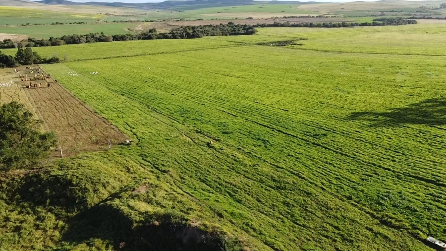 3 Bedroom Property for Sale in Riversdale Rural Western Cape